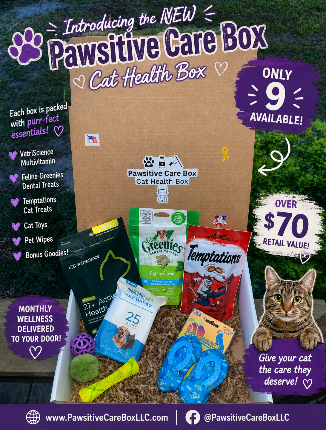 Pawsitive CareBox Cat Box