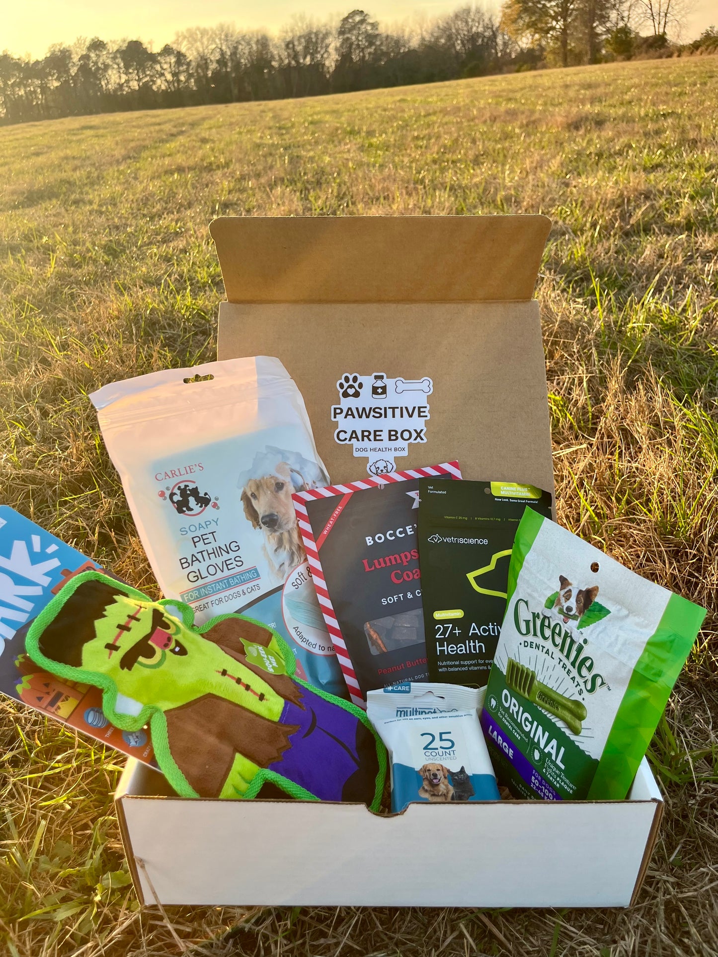 Pawsitive Care Box Large Dog