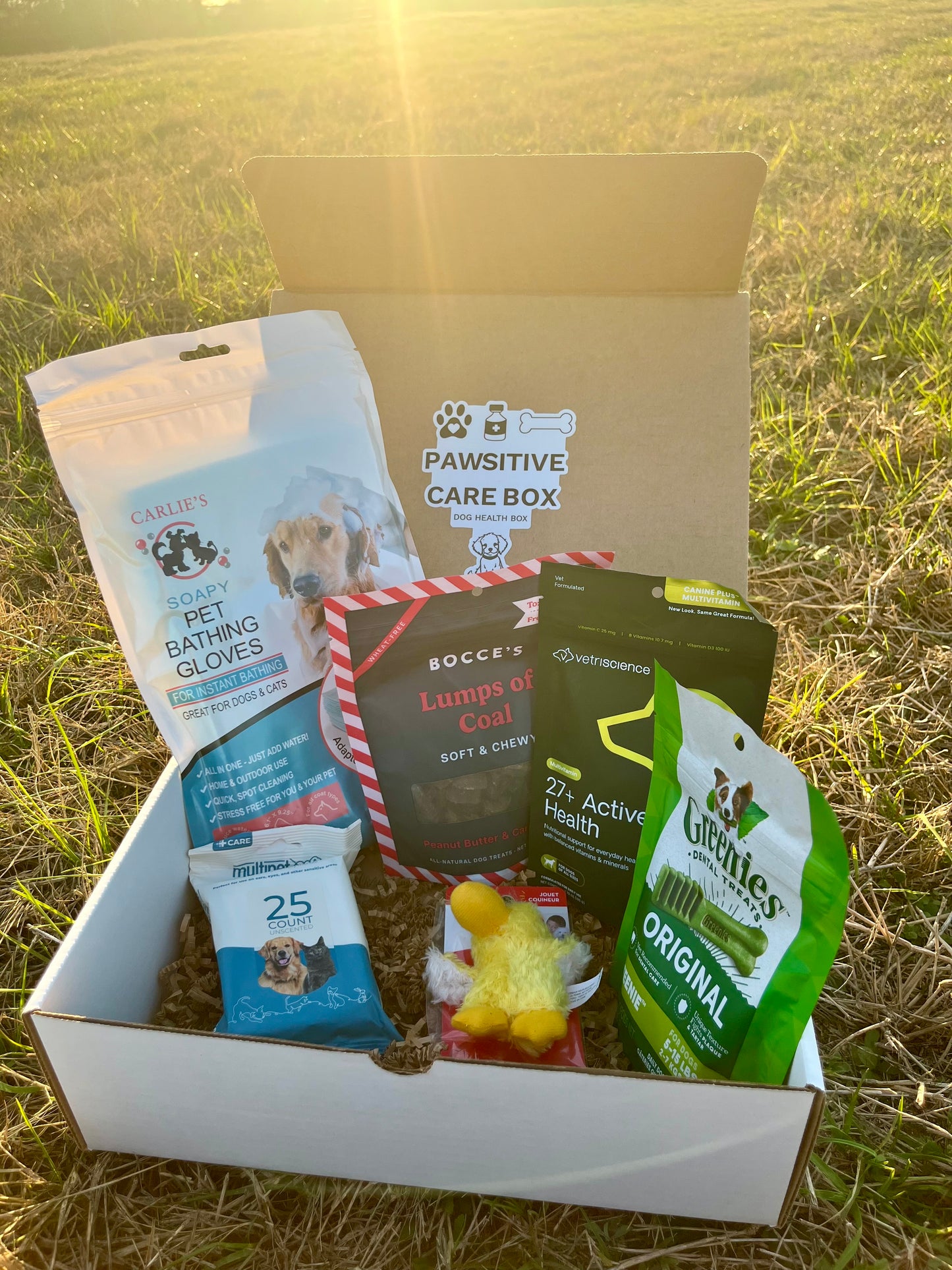 Pawsitive Care Box Small Dog