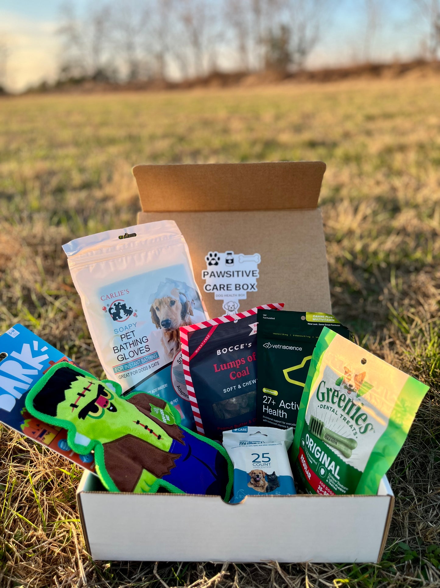 Pawsitive Care Box Medium Dog
